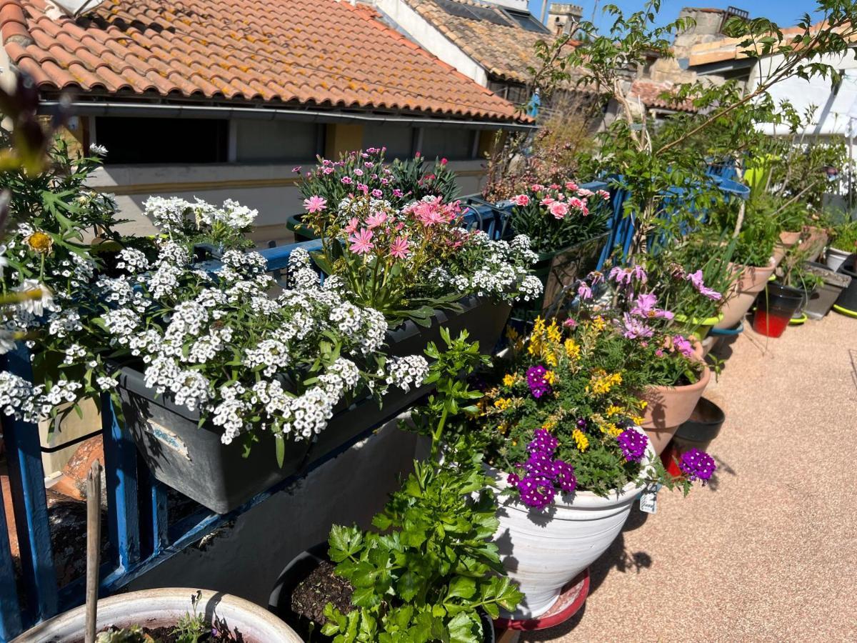 Loft Apartment , La Terrasse Centre Ville D'Arles, Esterno foto